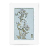 Aster Flowers Photographic Print, Botanical Wall Art, Floral Home Decor, Nature Photography, Flower Poster, Vintage Style Print - Tawshia